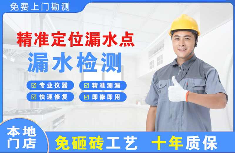 巴楚精准测漏点